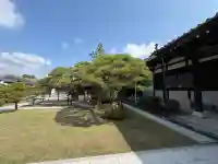 高林寺の{uncategorized: "未分類", other: "その他", undefined: "問題あり", building: "その他建物", grave: "お墓", sacred_gate: "鳥居", guardian: "狛犬", statue: "像", buddha: "仏像", history: "歴史", nature: "自然", garden: "庭園", animal: "動物", pagoda: "塔", temizu: "手水舎", mountain_gate: "山門・神門", sanctuary: "本殿・本堂", subordinate: "末社・摂社", art: "芸術", scenery: "景色", jizo: "地蔵", ema: "絵馬", goshuin: "御朱印", omikuji: "おみくじ", items: "授与品その他", amulet: "お守り", goshuincho: "御朱印帳", eats: "食事", festival: "お祭り", votive_dance: "神楽", shichigosan: "七五三参", wedding: "結婚式", experience: "体験その他", initially: "初詣", around: "周辺", anti_infection: "感染症対策"}