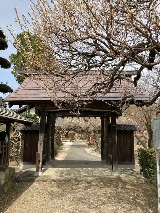 地蔵院(東京都)