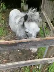 大石神社の動物