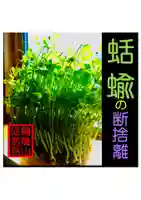 耕田院(山形県)