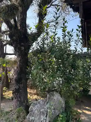 良仙寺(兵庫県)