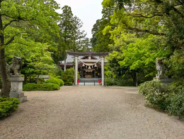 越中一宮 髙瀬神社の{uncategorized: "未分類", other: "その他", undefined: "問題あり", building: "その他建物", grave: "お墓", sacred_gate: "鳥居", guardian: "狛犬", statue: "像", buddha: "仏像", history: "歴史", nature: "自然", garden: "庭園", animal: "動物", pagoda: "塔", temizu: "手水舎", mountain_gate: "山門・神門", sanctuary: "本殿・本堂", subordinate: "末社・摂社", art: "芸術", scenery: "景色", jizo: "地蔵", ema: "絵馬", goshuin: "御朱印", omikuji: "おみくじ", items: "授与品その他", amulet: "お守り", goshuincho: "御朱印帳", eats: "食事", festival: "お祭り", votive_dance: "神楽", shichigosan: "七五三参", wedding: "結婚式", experience: "体験その他", initially: "初詣", around: "周辺", anti_infection: "感染症対策"}