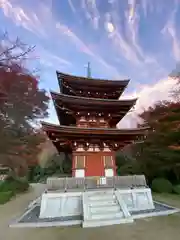 岡寺（龍蓋寺）の建物その他