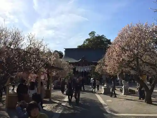 綱敷天満宮(福岡県)
