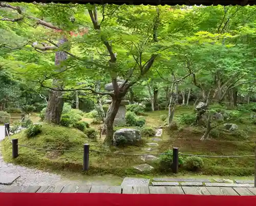 圓光寺の庭園