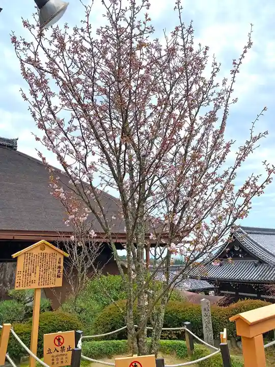 地主神社の自然
