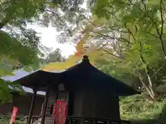 普門寺(切り絵御朱印発祥の寺)の本殿