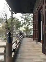 百萬遍知恩寺(京都府)