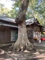 氷川女體神社の自然