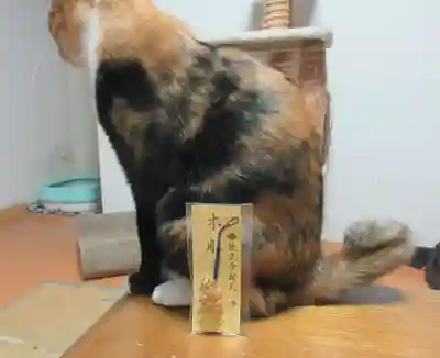 題経寺(柴又帝釈天)(東京都)