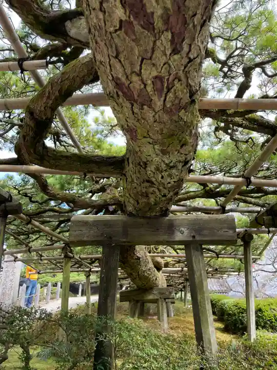 善峯寺(京都府)