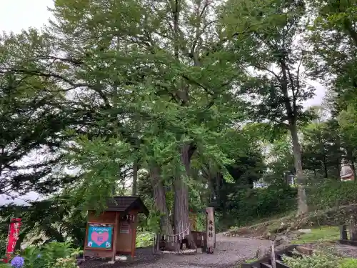 浦幌神社・乳神神社(北海道)
