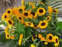 彌彦神社 (伊夜日子神社)の手水舎