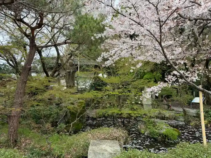 舎那院の{uncategorized: "未分類", other: "その他", undefined: "問題あり", building: "その他建物", grave: "お墓", sacred_gate: "鳥居", guardian: "狛犬", statue: "像", buddha: "仏像", history: "歴史", nature: "自然", garden: "庭園", animal: "動物", pagoda: "塔", temizu: "手水舎", mountain_gate: "山門・神門", sanctuary: "本殿・本堂", subordinate: "末社・摂社", art: "芸術", scenery: "景色", jizo: "地蔵", ema: "絵馬", goshuin: "御朱印", omikuji: "おみくじ", items: "授与品その他", amulet: "お守り", goshuincho: "御朱印帳", eats: "食事", festival: "お祭り", votive_dance: "神楽", shichigosan: "七五三参", wedding: "結婚式", experience: "体験その他", initially: "初詣", around: "周辺", anti_infection: "感染症対策"}