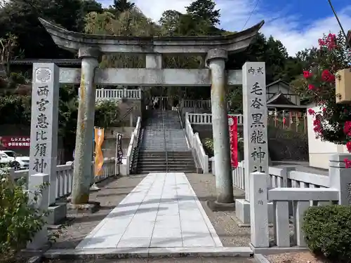 毛谷黒龍神社(福井県)