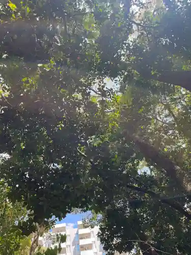 生田神社(兵庫県)