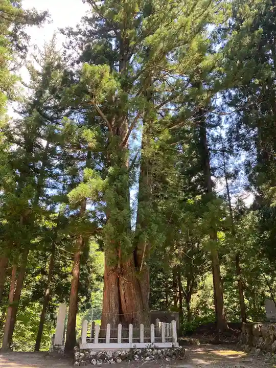 八海神社(新潟県)