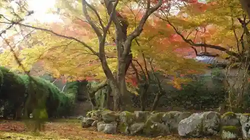 法輪寺の自然