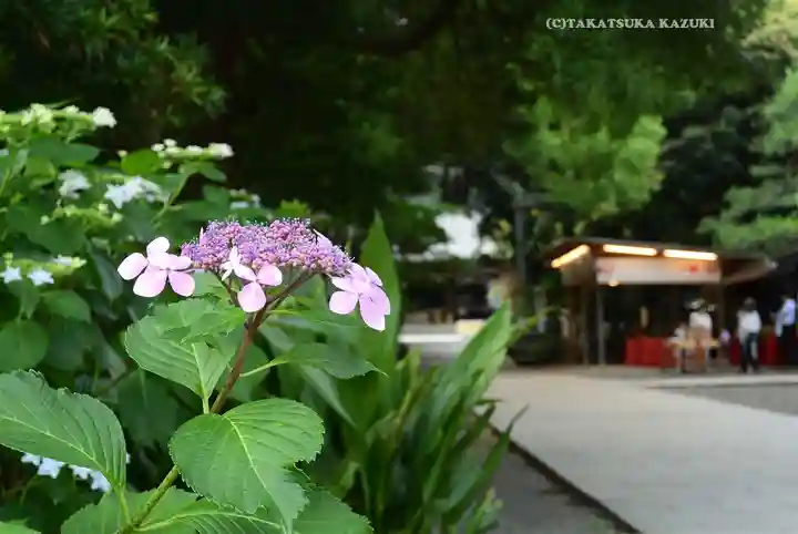 平塚八幡宮(神奈川県)