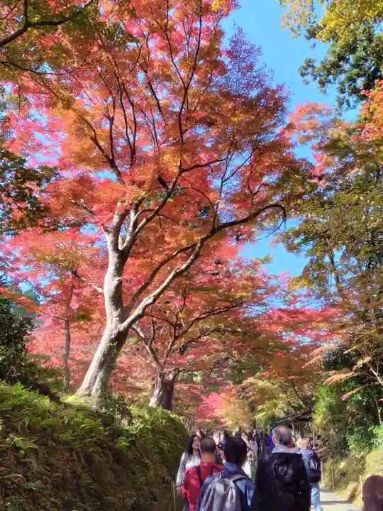 中尊寺金色堂(岩手県)