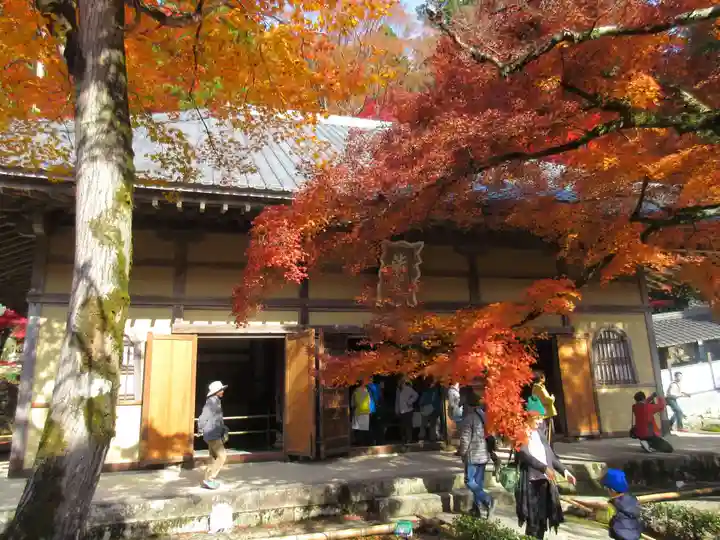 永源寺の本殿・本堂