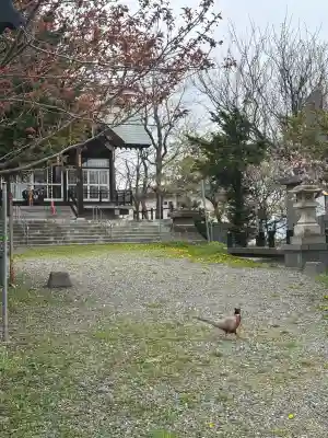 豊足神社の{uncategorized: "未分類", other: "その他", undefined: "問題あり", building: "その他建物", grave: "お墓", sacred_gate: "鳥居", guardian: "狛犬", statue: "像", buddha: "仏像", history: "歴史", nature: "自然", garden: "庭園", animal: "動物", pagoda: "塔", temizu: "手水舎", mountain_gate: "山門・神門", sanctuary: "本殿・本堂", subordinate: "末社・摂社", art: "芸術", scenery: "景色", jizo: "地蔵", ema: "絵馬", goshuin: "御朱印", omikuji: "おみくじ", items: "授与品その他", amulet: "お守り", goshuincho: "御朱印帳", eats: "食事", festival: "お祭り", votive_dance: "神楽", shichigosan: "七五三参", wedding: "結婚式", experience: "体験その他", initially: "初詣", around: "周辺", anti_infection: "感染症対策"}