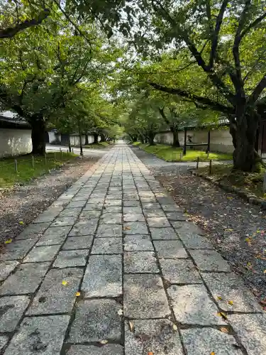 醍醐寺の{uncategorized: "未分類", other: "その他", undefined: "問題あり", building: "その他建物", grave: "お墓", sacred_gate: "鳥居", guardian: "狛犬", statue: "像", buddha: "仏像", history: "歴史", nature: "自然", garden: "庭園", animal: "動物", pagoda: "塔", temizu: "手水舎", mountain_gate: "山門・神門", sanctuary: "本殿・本堂", subordinate: "末社・摂社", art: "芸術", scenery: "景色", jizo: "地蔵", ema: "絵馬", goshuin: "御朱印", omikuji: "おみくじ", items: "授与品その他", amulet: "お守り", goshuincho: "御朱印帳", eats: "食事", festival: "お祭り", votive_dance: "神楽", shichigosan: "七五三参", wedding: "結婚式", experience: "体験その他", initially: "初詣", around: "周辺", anti_infection: "感染症対策"}