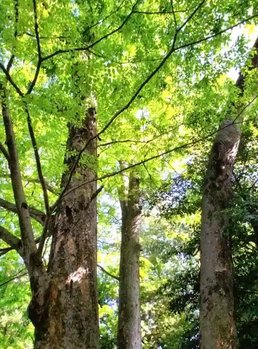布多天神社(東京都)