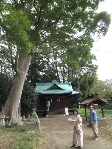 酒門神社(茨城県)