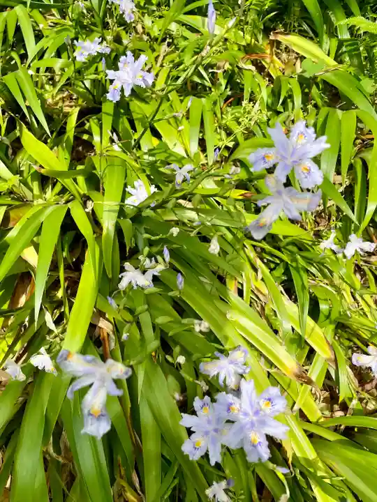 蛇苦止明神(蛇苦止堂)(神奈川県)