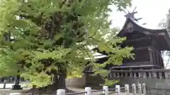 葛飾八幡宮(千葉県)