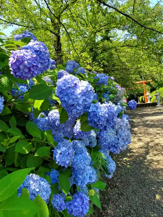白和瀬神社(福島県)