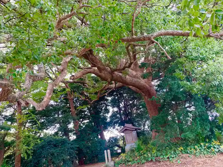 大宮皇神(福岡県)