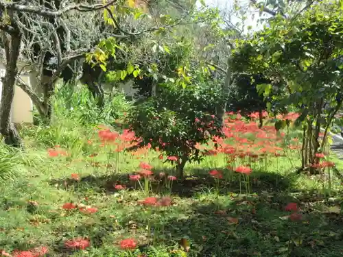 英勝寺の庭園