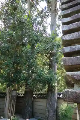 法起院(奈良県)