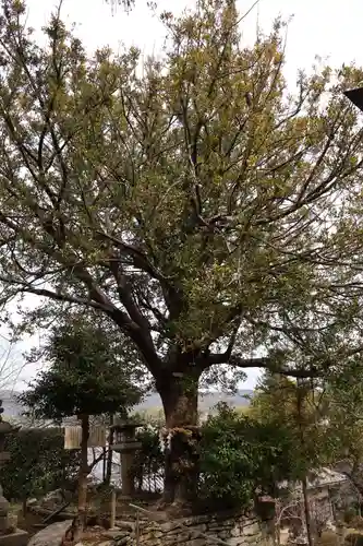 伊太祁曽神社(和歌山県)