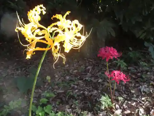 宝蔵院(東京都)