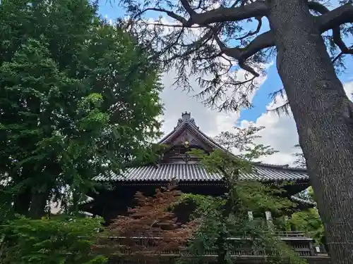 寛永寺(根本中堂)(東京都)