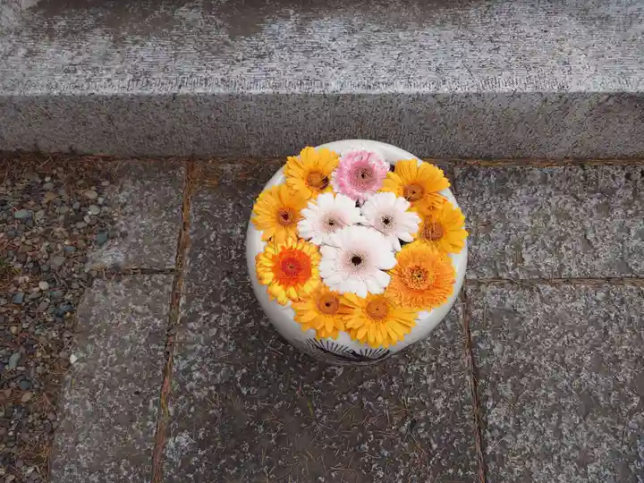 草加神社(埼玉県)