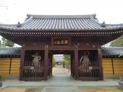 金倉寺の山門・神門