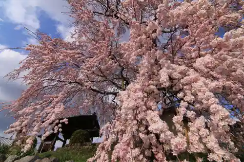 長興寺の庭園