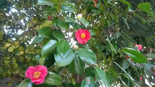 阿邪訶根神社の自然