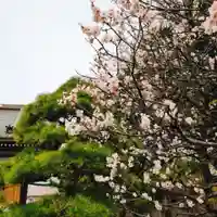 藥王寺(東京都)