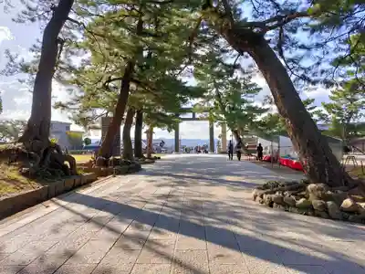 出雲大社(島根県)