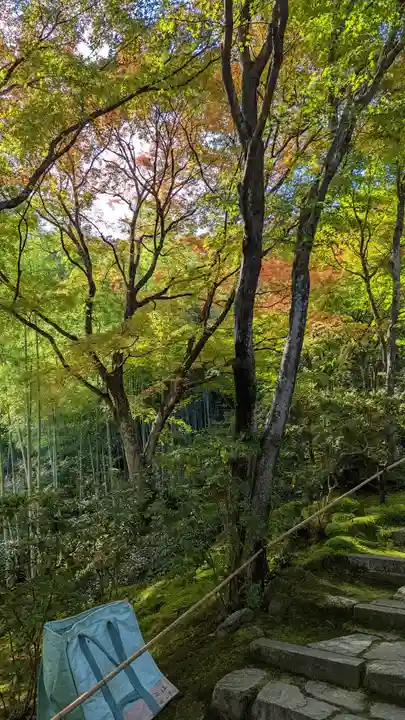 常寂光寺(京都府)