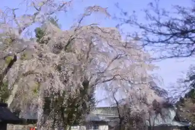 伊豆山神社(静岡県)