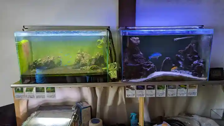 法華寺(京都府)