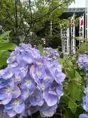 洞雲寺(愛知県)