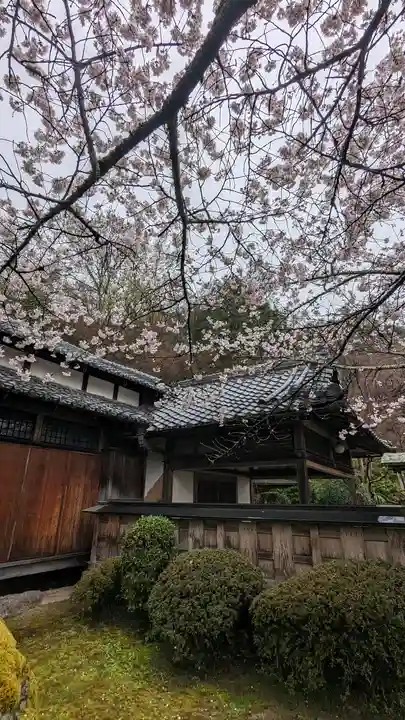 勝持寺(花の寺)(京都府)