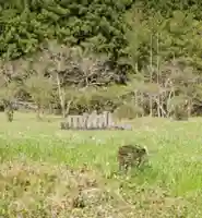 大塚神社(飛駒町)(栃木県)